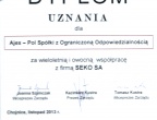 Dyplom uznania SEKO